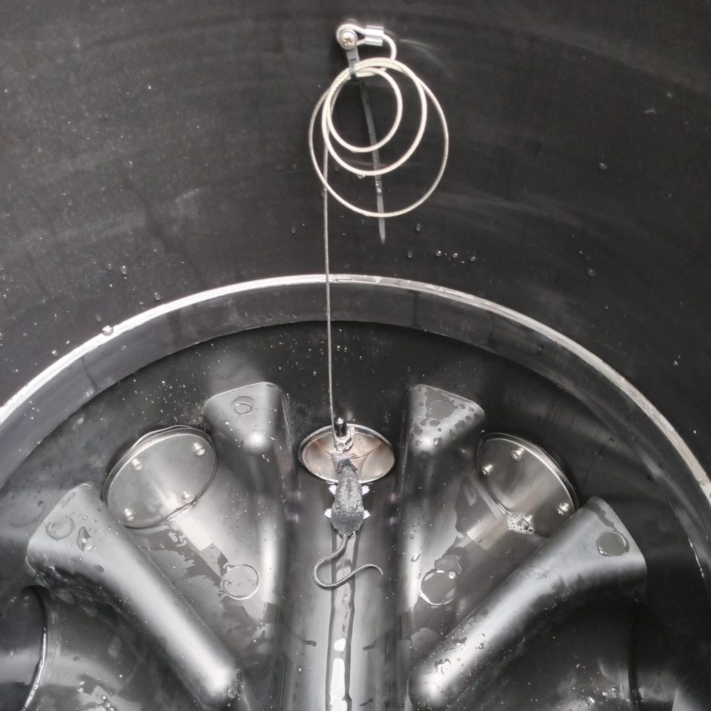 Rats Flap
